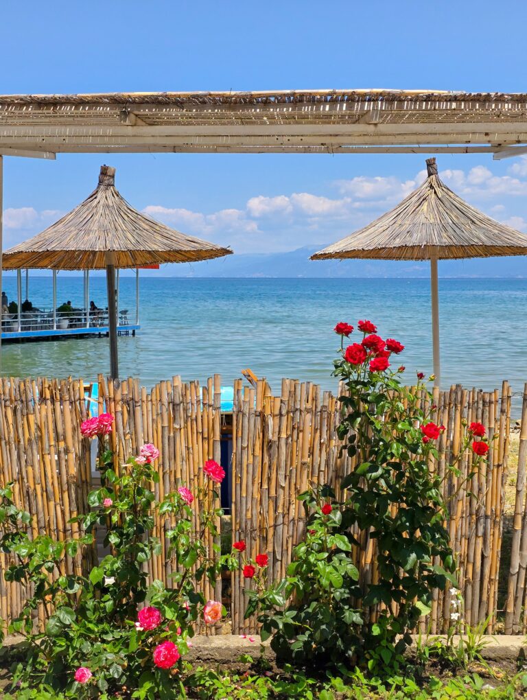 Pogradec City!