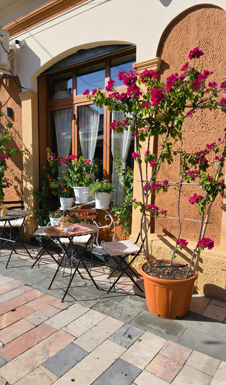 Shkodër’s Historic Charm: A Photographer’s Paradise